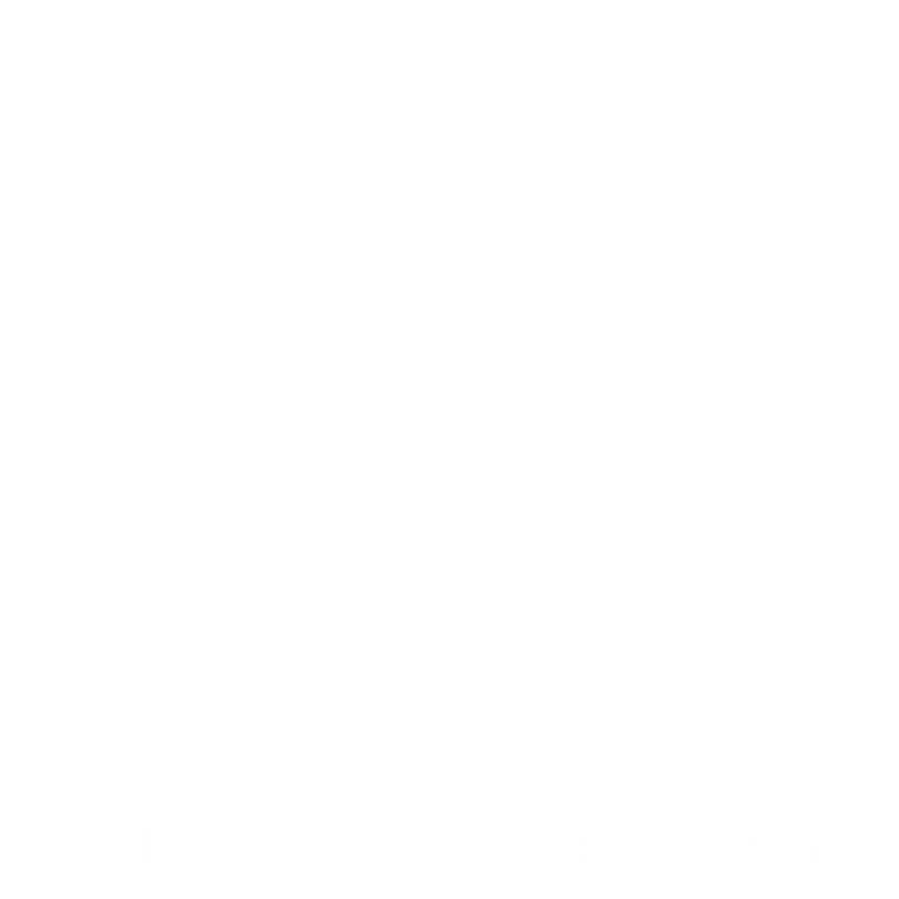SlopeSlider logo